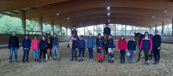 Westernreiten Westernreiten